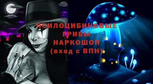 ГАЛЛЮЦИНОГЕННЫЕ ГРИБЫ Аркадак